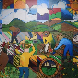 College Assistance Migrant Program (CAMP)